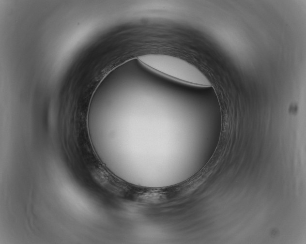 X0000091490383200708161216