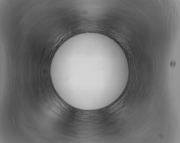 X0000091490384200708161216