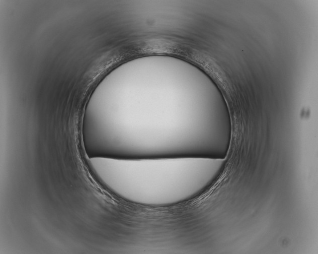 X0000091490386200708161215