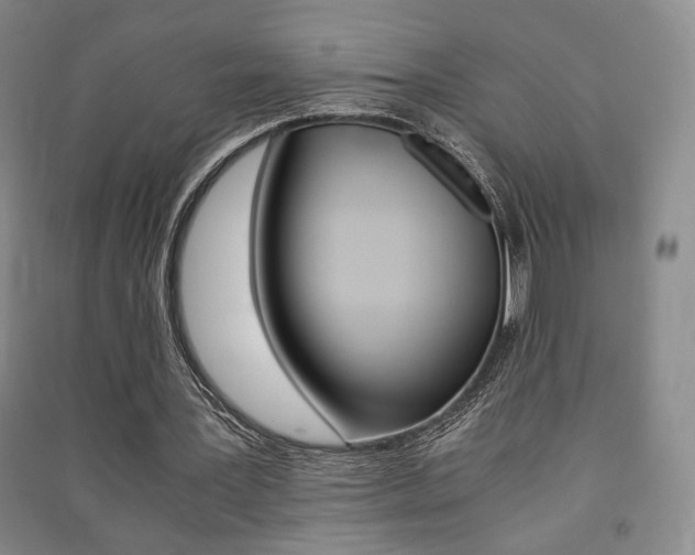 X0000091490387200708161215