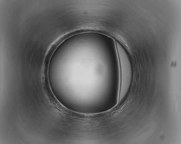 X0000091490388200708161215
