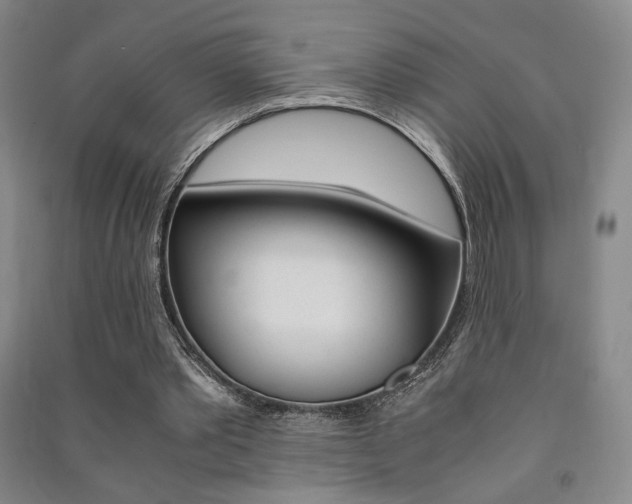 X0000091490389200708161215