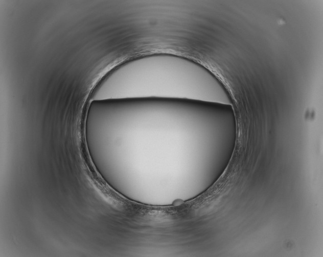 X0000091490390200708161215