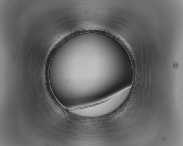 X0000091490391200708161215