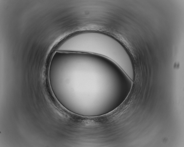 X0000091490392200708161215