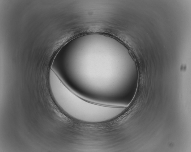 X0000091490393200708161215
