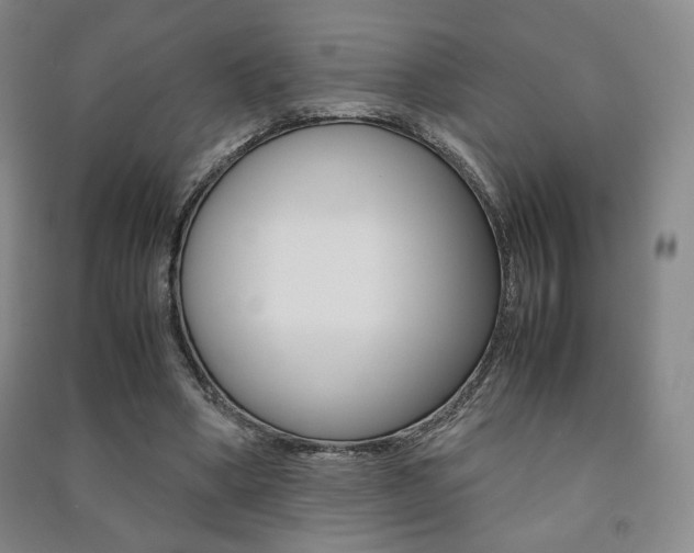 X0000091490394200708161215