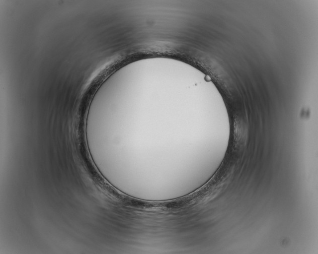 X0000091490396200708161215