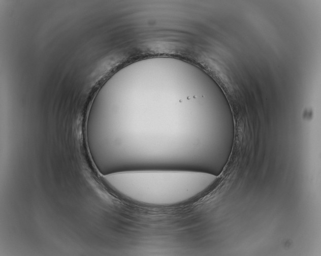X0000091490398200708161215