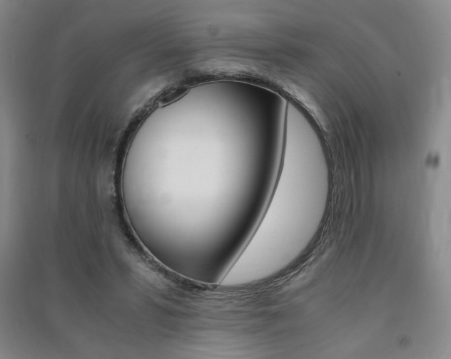 X0000091490399200708161215