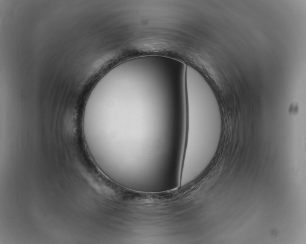 X0000091490400200708161215