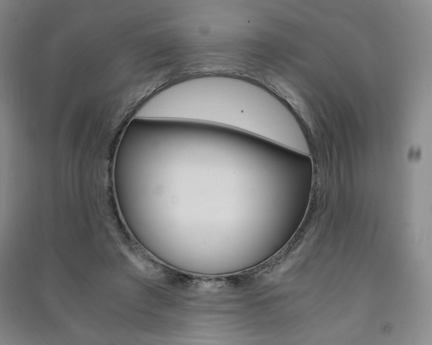 X0000091490401200708161215