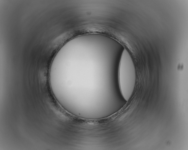 X0000091490402200708161215