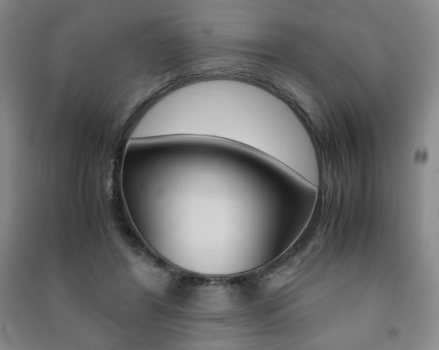 X0000091490404200708161214