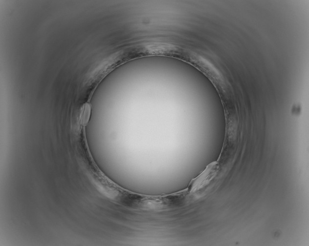 X0000091490405200708161214