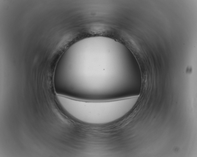 X0000091490408200708161214