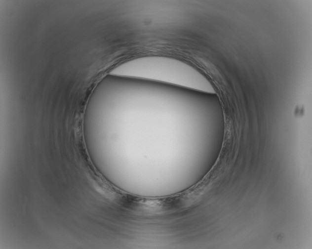 X0000091490409200708161214