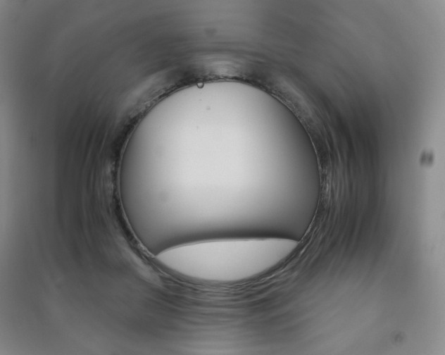 X0000091490410200708161214