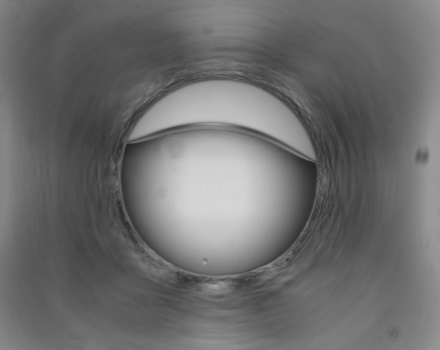 X0000091490411200708161214