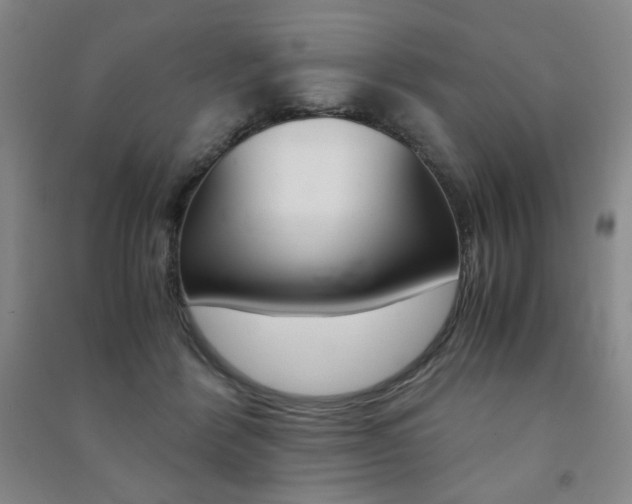 X0000091490412200708161214