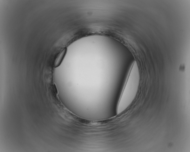 X0000091490413200708161214