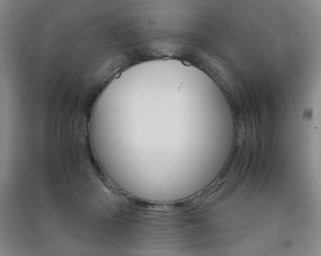 X0000091490414200708161214