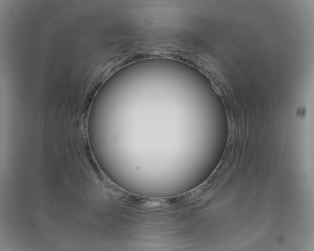 X0000091490415200708161214