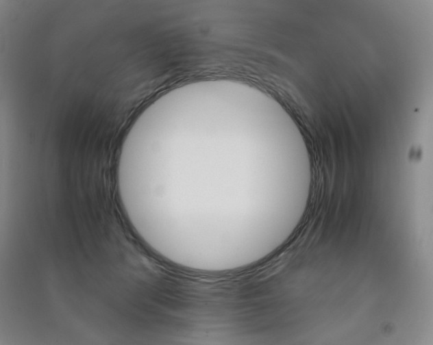 X0000091490416200708161214