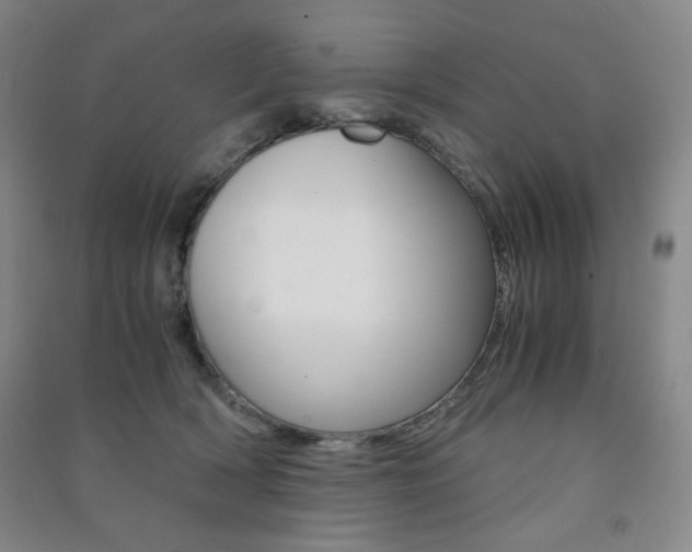 X0000091490418200708161214