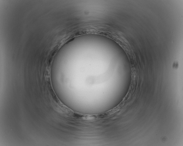 X0000091490419200708161214