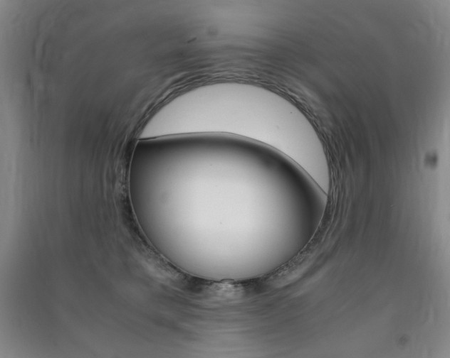 X0000091490421200708161214