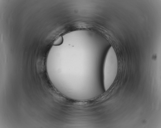 X0000091490422200708161214