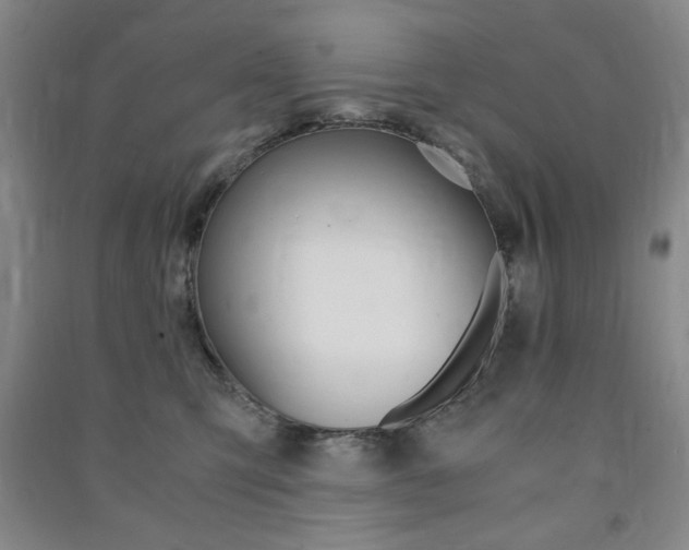 X0000091490423200708161214