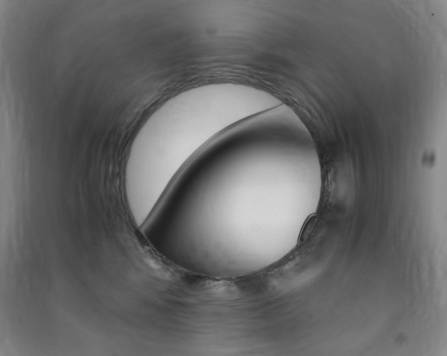 X0000091490424200708161214