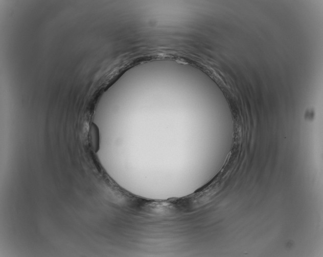 X0000091490427200708161214