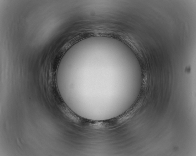 X0000091490430200708161214
