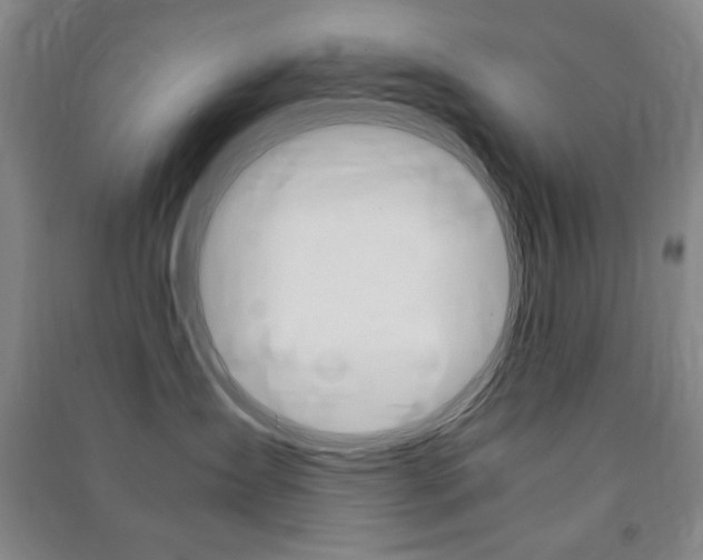 X0000091490431200708161214