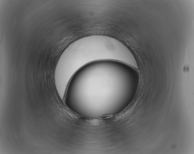 X0000091490432200708161214