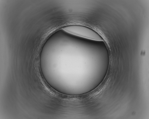X0000091490433200708161213