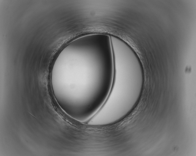 X0000091490434200708161213