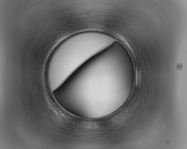 X0000091490435200708161213