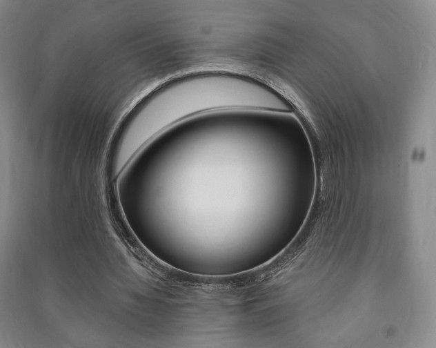 X0000091490436200708161213