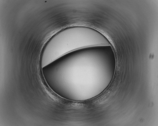 X0000091490437200708161213