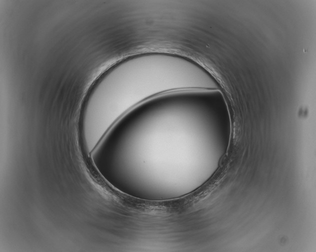X0000091490438200708161213