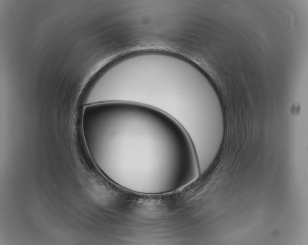 X0000091490440200708161213