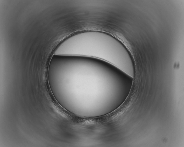 X0000091490441200708161213
