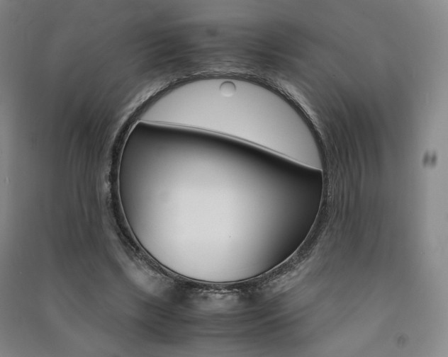 X0000091490443200708161213