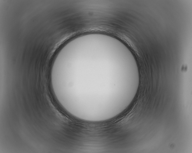 X0000091490444200708161214