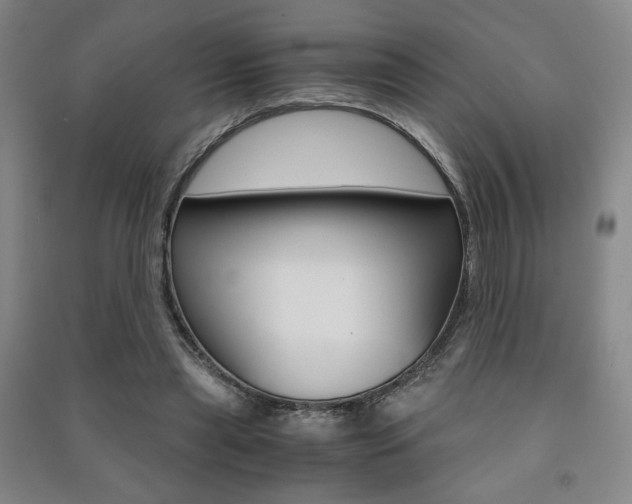 X0000091490445200708161214