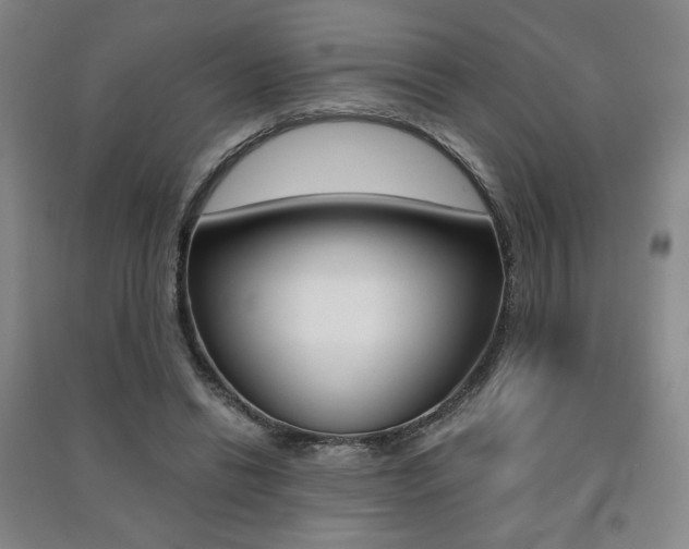 X0000091490446200708161214